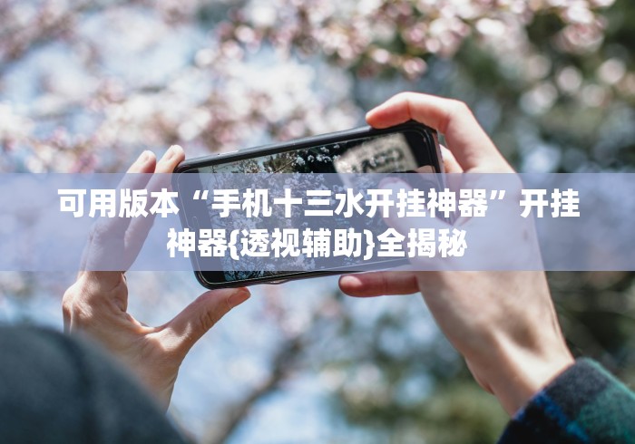 可用版本“手机十三水开挂神器”开挂神器{透视辅助}全揭秘