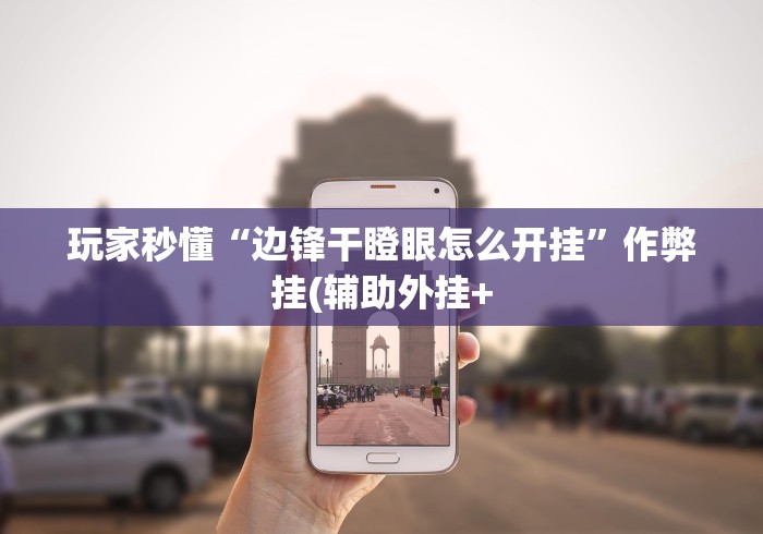 玩家秒懂“边锋干瞪眼怎么开挂”作弊挂(辅助外挂+