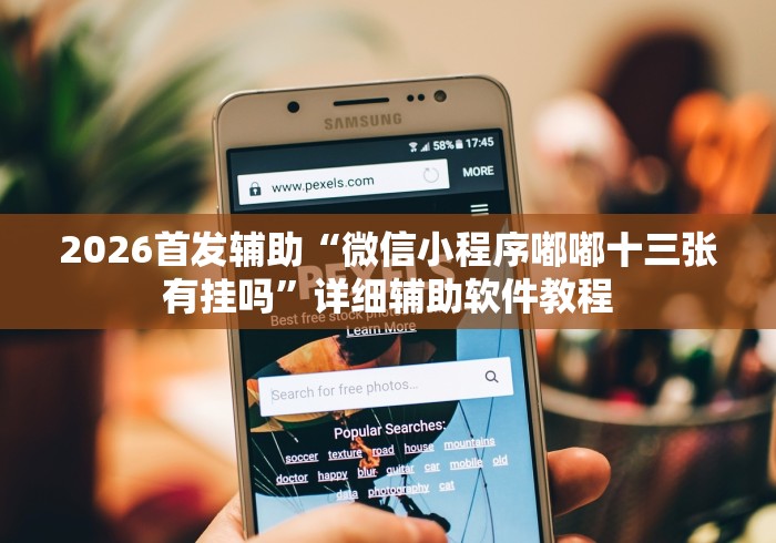2026首发辅助“微信小程序嘟嘟十三张有挂吗	”详细辅助软件教程