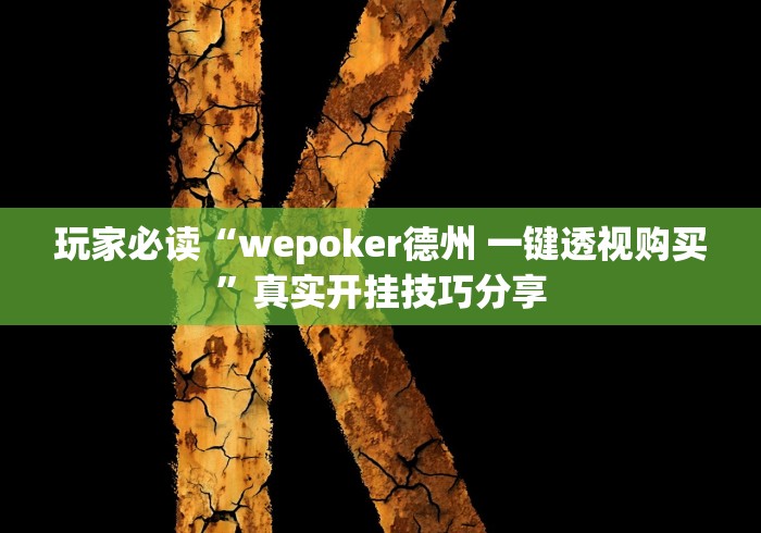 玩家必读“wepoker德州 一键透视购买”真实开挂技巧分享