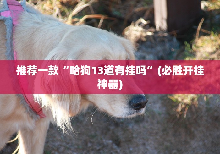 推荐一款“哈狗13道有挂吗”(必胜开挂神器)