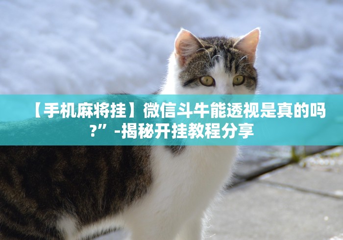 【手机麻将挂】微信斗牛能透视是真的吗?”-揭秘开挂教程分享