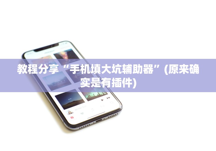 教程分享“手机填大坑辅助器	”(原来确实是有插件)