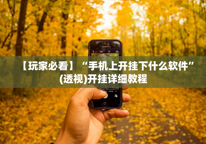 【玩家必看】“手机上开挂下什么软件”(透视)开挂详细教程
