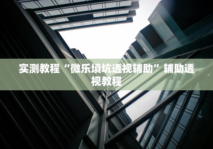 实测教程“微乐填坑透视辅助”辅助透视教程
