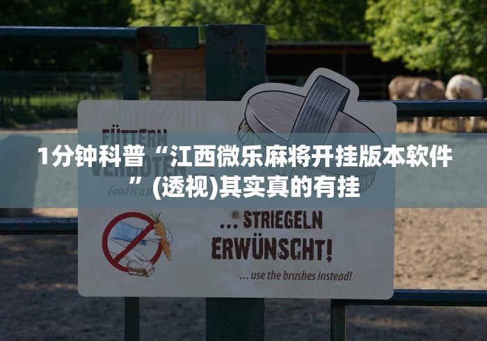 1分钟科普“江西微乐麻将开挂版本软件”(透视)其实真的有挂