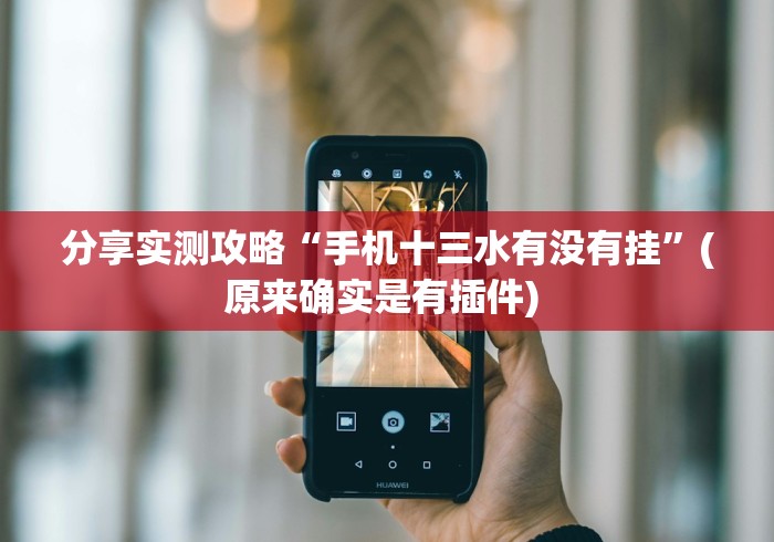 分享实测攻略“手机十三水有没有挂”(原来确实是有插件) 