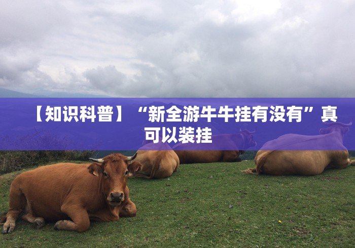 【知识科普】“新全游牛牛挂有没有”真可以装挂