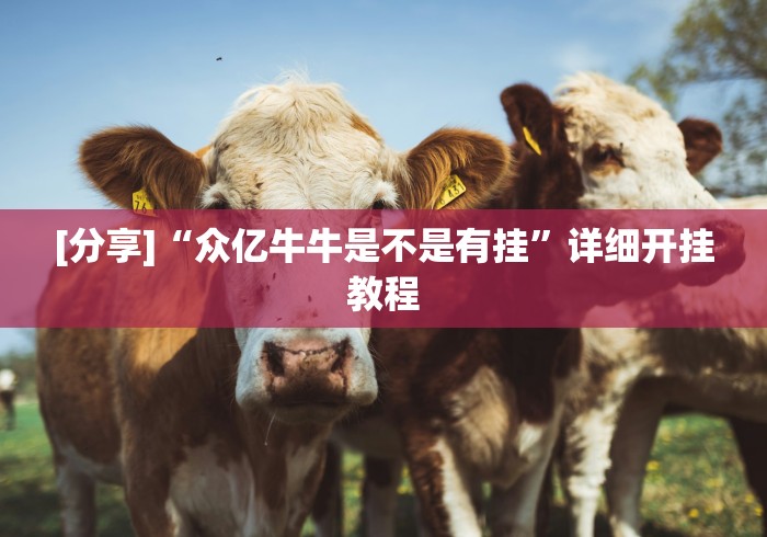 [分享]“众亿牛牛是不是有挂	”详细开挂教程