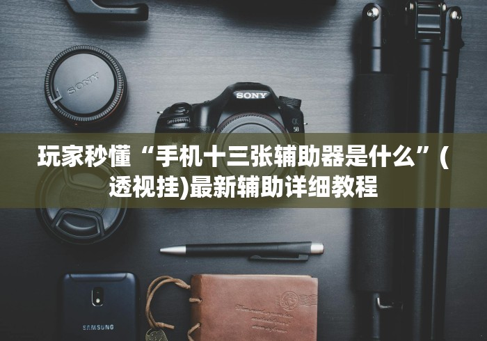 玩家秒懂“手机十三张辅助器是什么”(透视挂)最新辅助详细教程