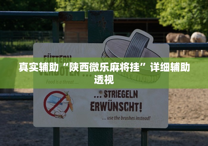 真实辅助“陕西微乐麻将挂”详细辅助透视