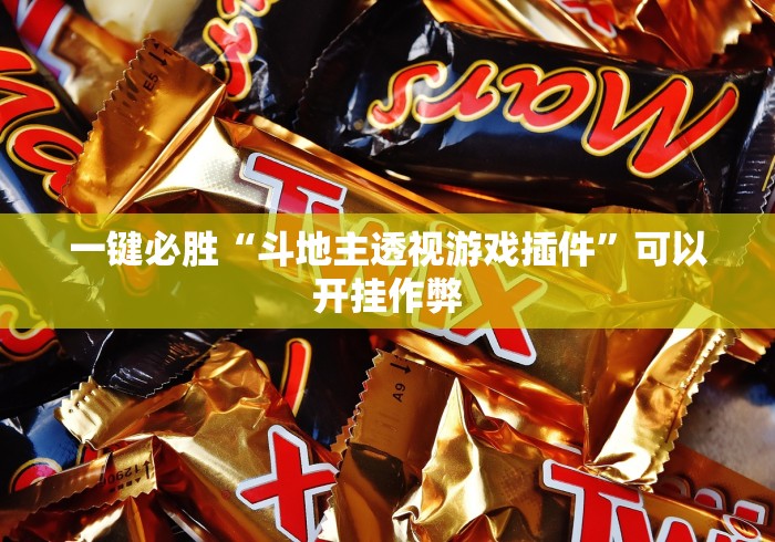 一键必胜“斗地主透视游戏插件”可以开挂作弊