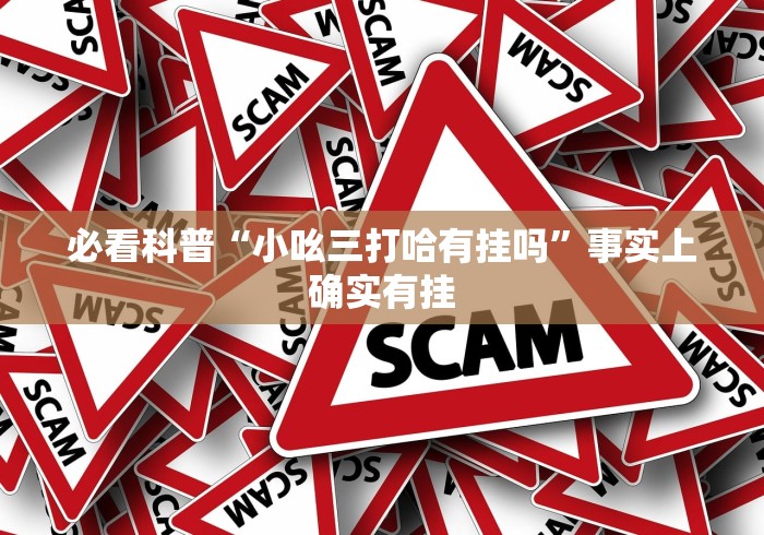 必看科普“小吆三打哈有挂吗”事实上确实有挂
