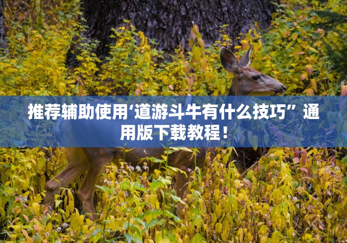 推荐辅助使用‘道游斗牛有什么技巧”通用版下载教程！