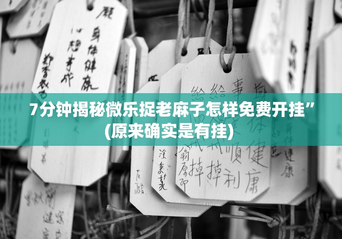 7分钟揭秘微乐捉老麻子怎样免费开挂”(原来确实是有挂) 