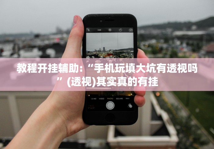 教程开挂辅助:“手机玩填大坑有透视吗”(透视)其实真的有挂